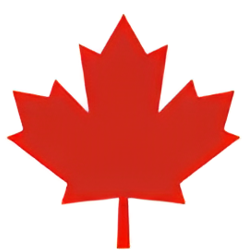 English With Marcello logo